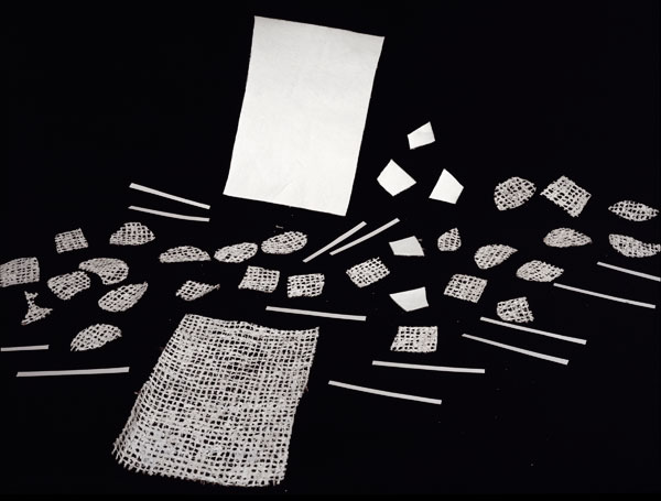 Sarah Conaway, VIII, 2011, C-print, 30 x 40 inches. 