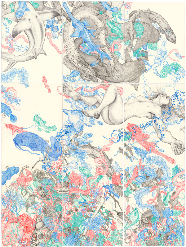 A coral room (put your hand over the side of the boat, and what do you feel?)