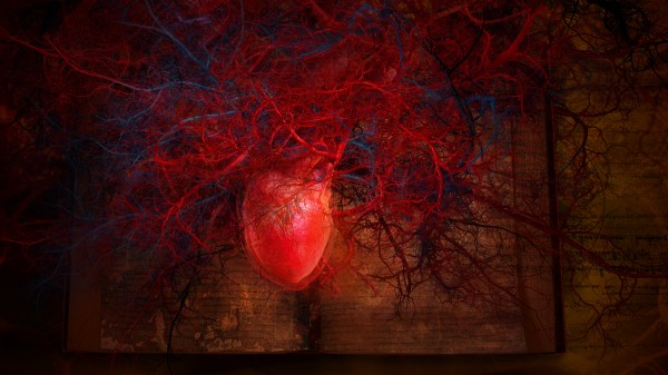 Zhang Xiaotao, Sakya, Still Image, 80 x 144 cm, 2010 - 2011, image courtesy Pekin Fine Arts