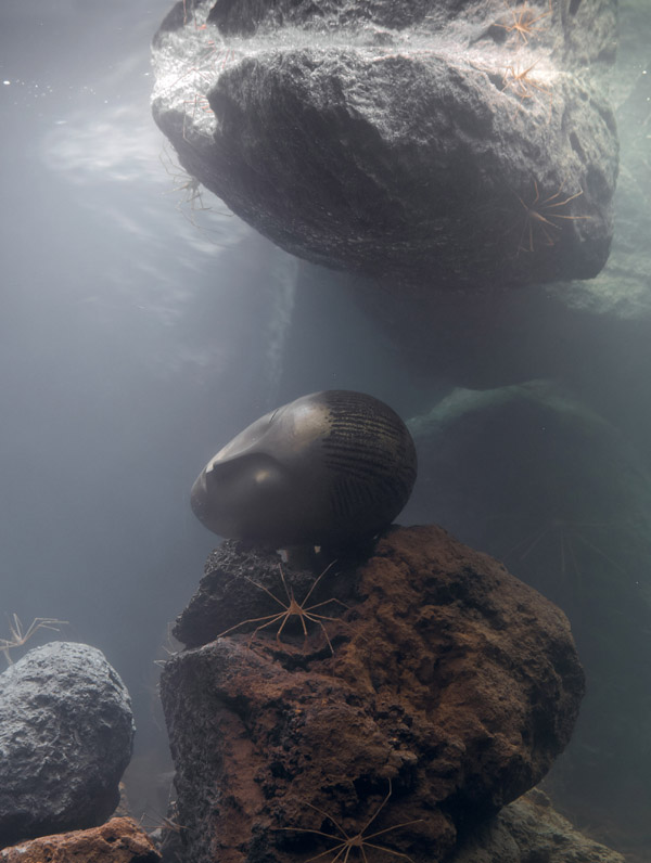 Pierre Huyghe. Zoodram 5 (after ‘Sleeping Muse’ by Constantin Brancusi), 2011. Glass tank, filtration system, resin mask, hermit crab, arrow crabs and basalt rock. © Pierre Huyghe, courtesy Marian Goodman Gallery, New York/Paris