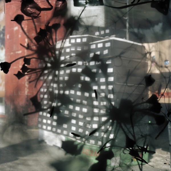 Stephen Gill. Talking to Ants, 2009–12; pigment archival paper print, image 40 x 40 in., paper 44 x 44 in., edition of 5 plus 2 AP. Courtesy of the Artist and Gallery Wendi Norris, San Francisco.