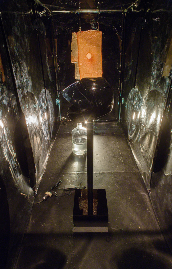 Anicka Yi. Detail of Fontenelle, 2015; Vinyl, steel pipes, motorcycle helmet, scent diffuser, glass container, water, kombucha scoby leather, nylon string, worklight; 122 x 78 x 50 in. Courtesy of the Artist and 47 Canal  