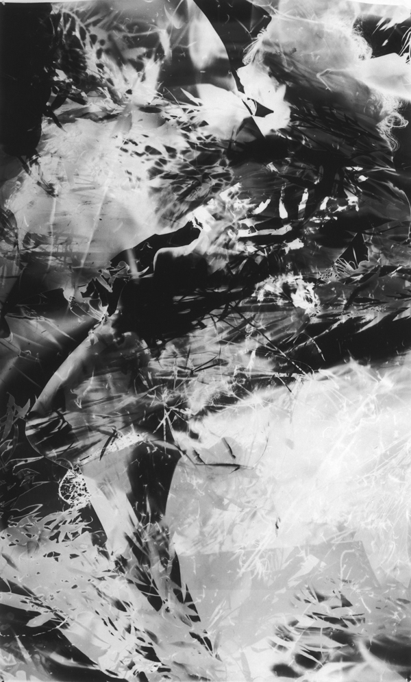 Floris Neusüss. Nachtbild (48), 1991; photogram, unique, 68 x 42 in. Image courtesy of the artist and Von Lintel Gallery, Los Angeles.