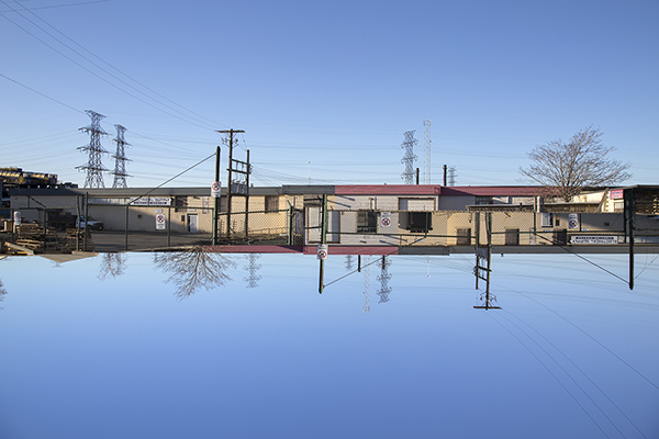 Tavis Lochhead. Habitat 1, 2015; digital image. Courtesy of Tavis Lochhead.