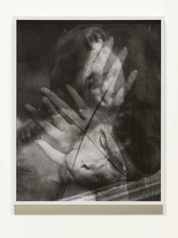 Özlem Altin. Sleeping statue, 2013; print on litho paper; 27 ½ x 22 in. Courtesy of the Artist and Kiria Koula, San Francisco. Photo: John White.
