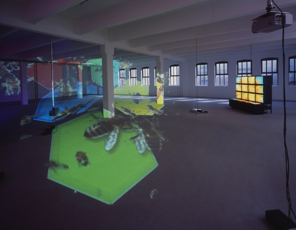 Diana Thater. knots + surfaces, 2001. Five video projectors, sixteen-monitor video wall, six players, and Lee filters; dimensions variable. Installation view at Dia Center for the Arts, New York, 2001. ©Diana Thater; photo ©Fredrik Nilsen.