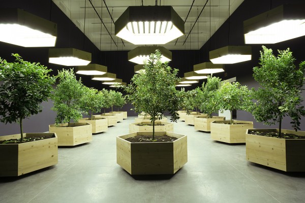 View of the exhibition Hippie Modernism: The Struggle for Utopia, 2015; Helen Mayer Harrison and Newton Harrison, Portable Orchard: Survival Piece Number 5, 1972-3/2015. Photo: Greg Beckel, ©Walker Art Center