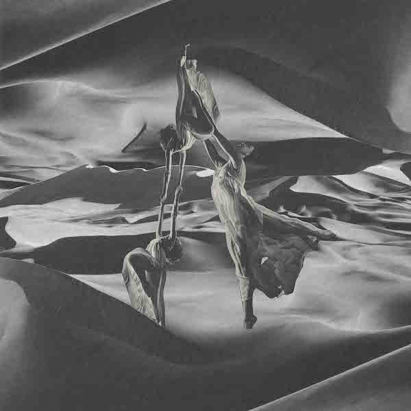 Jason Kearney. Becoming, 2015; digital collage; 11.8 x 11.8 in. Courtesy of the Artist.