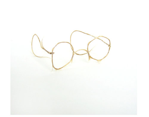 Adrienne Antonson.jpg