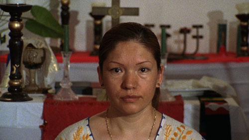 Andrea Bowers-Sanctuary-12-01-08.jpg