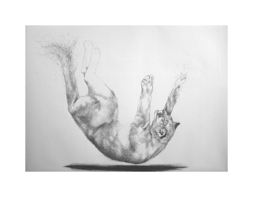 THERESA SAPERGIA -3.jpg