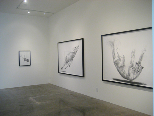 THERESA SAPERGIA -5.jpg